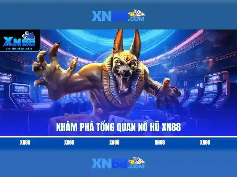xn88-lin***.com – Câu chuyện thương hiệu số và giá trị cho người dùng