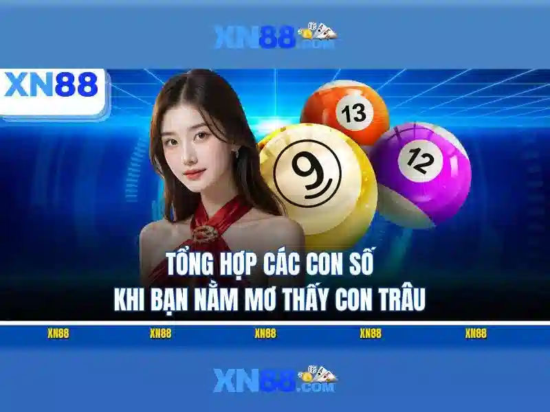 xn88: Tổng quan về nền tảng trực tuyến