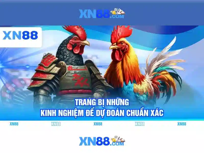 xn88 android xn88 – Trải nghiệm di động đột phá cho người chơi