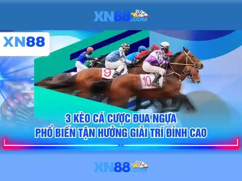 xn88 dang nhap - Tổng quan và Giá trị Cốt lõi cho người chơi VN