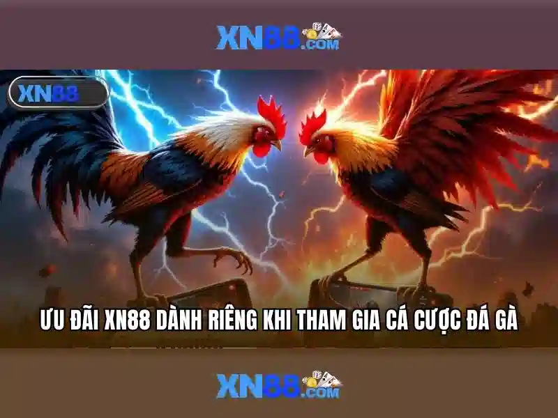 Các chương trình khuyến mãi hấp dẫn tại nhà cái