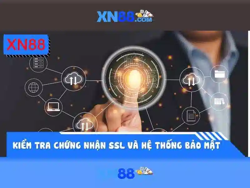 Tổng quan về xn88: nền tảng giải trí trực tuyến