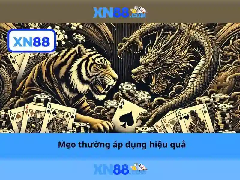 xn88 — Tổng quan và Hướng dẫn tham gia