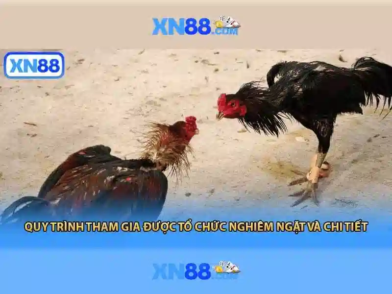 xn88 – Nền tảng trò chơi trực tuyến uy tín
