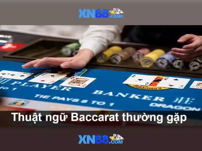 XN88 là gì và nền tảng cá cược trực tuyến