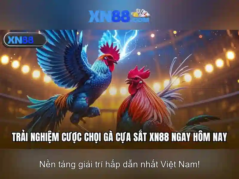 Khám phá xn88: Nền tảng cá cược trực tuyến đáng tin cậy