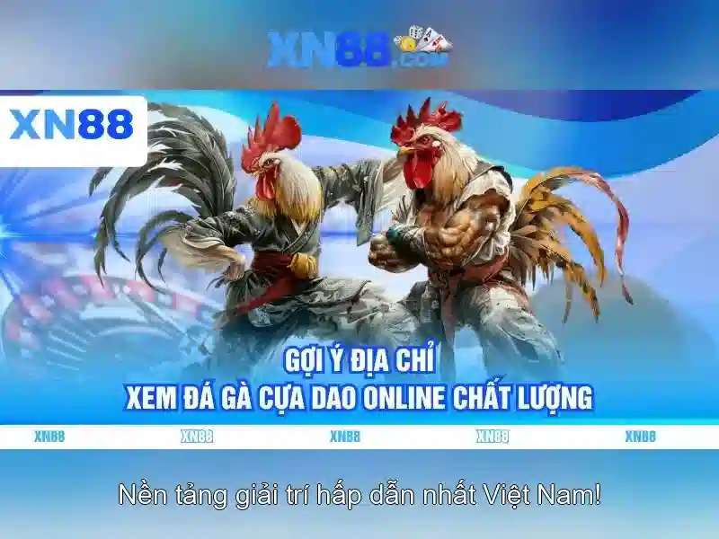xn88: Đánh giá tổng quan về nền tảng thể thao và trò chơi