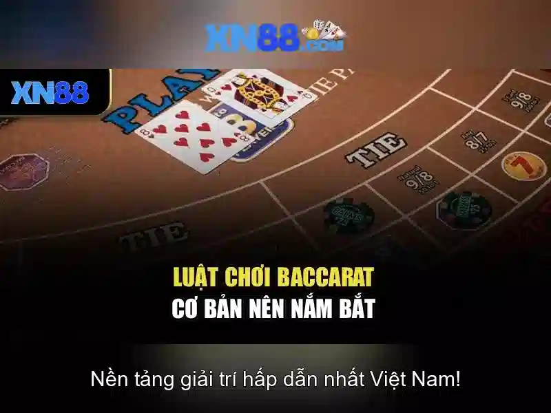 xn88 — một cái nhìn tổng quan