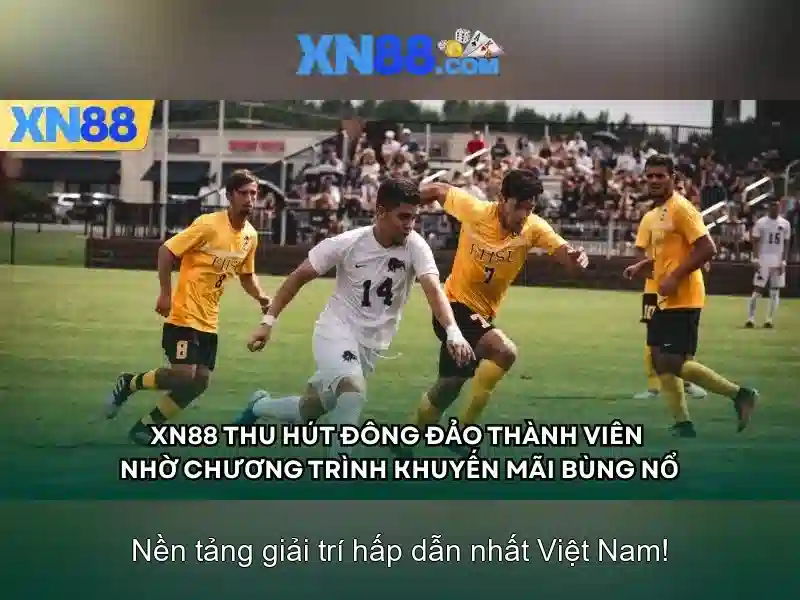 xn88: Tổng quan về nền tảng cá cược trực tuyến